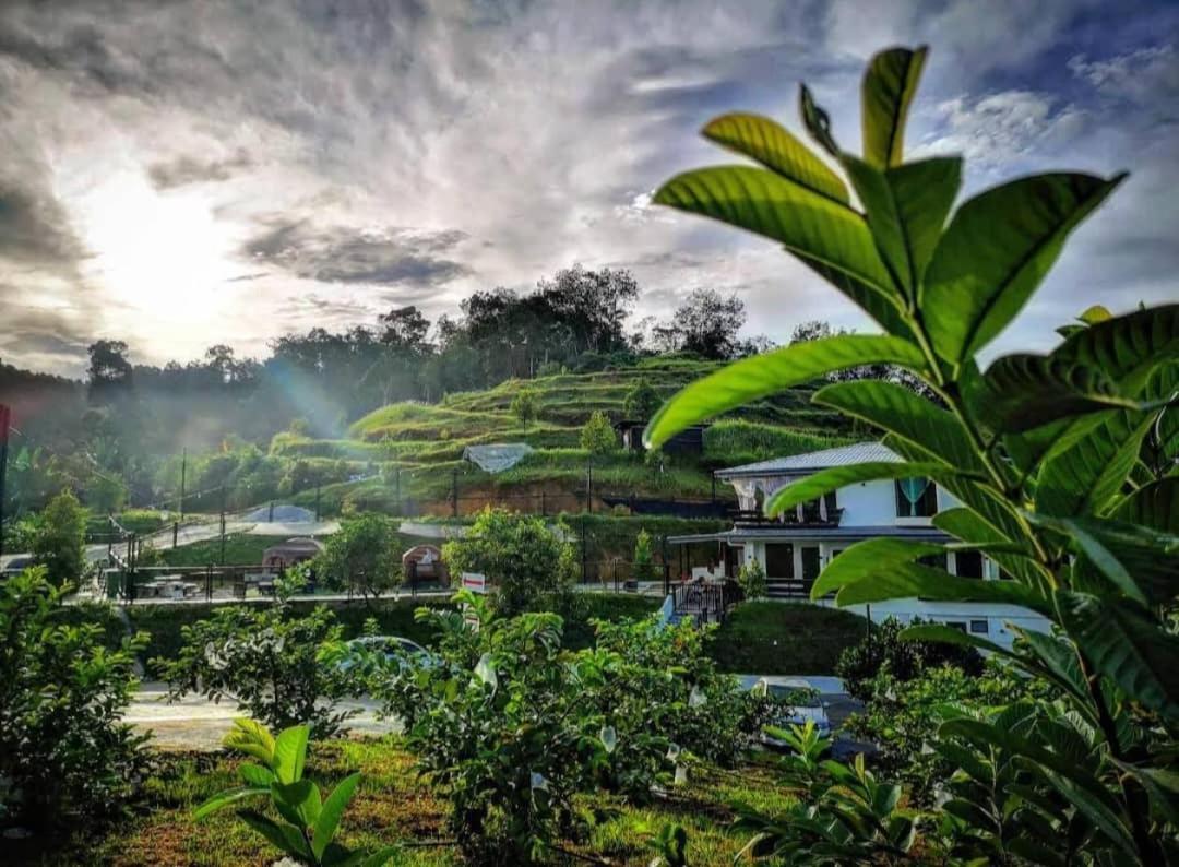 I Do Farmstay 메르타잠 외부 사진